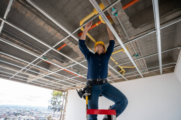 Best Emergency Plumber  in Osceola, AR